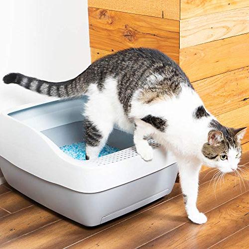 PetSafe Deluxe Crystal Cat Litter Box System,